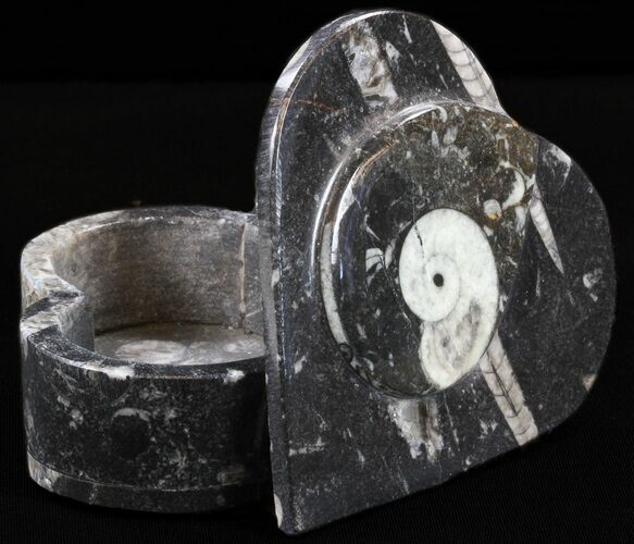 Heart-Shaped Fossil Goniatites Box - (Black) #37996